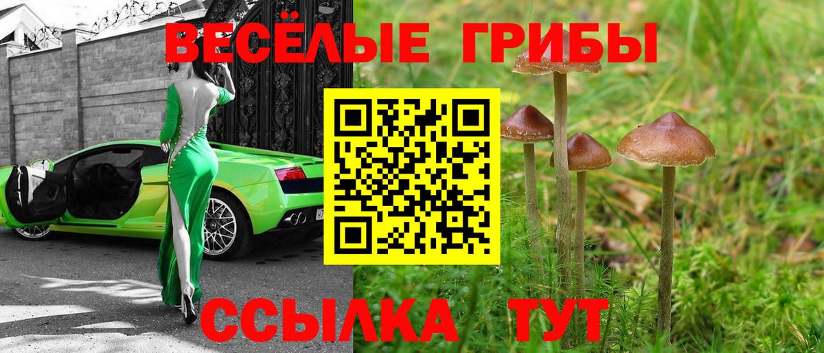 Галлюциногенные грибы Psilocybine cubensis  Вход с VPN  Нерюнгри 