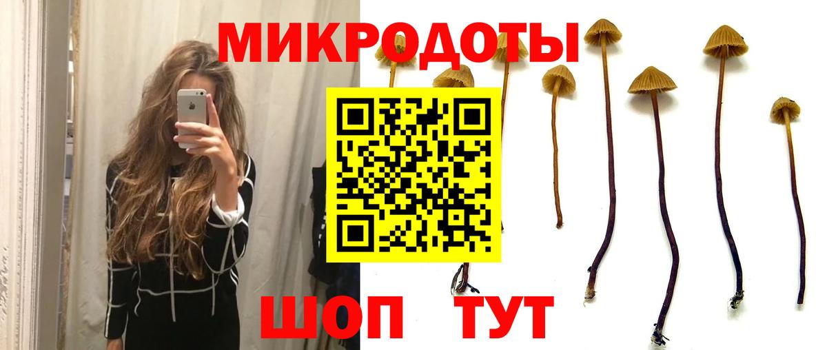 Псилоцибиновые грибы Magic Shrooms Нерюнгри